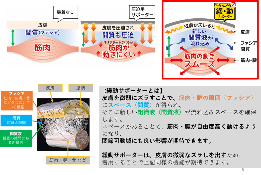 緩動機能の説明画像