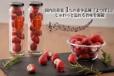 国内出荷量1%希少品種「よつぼし」を使ったフリーズドライ苺「四重奏」