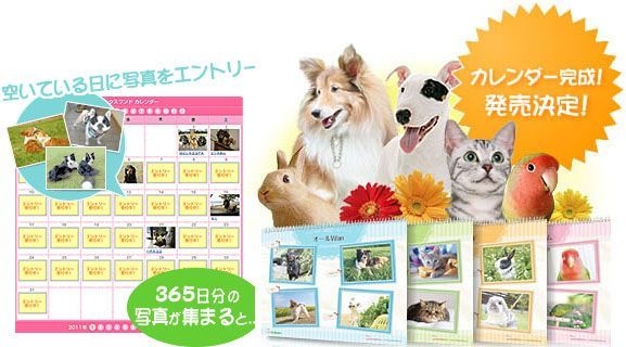 参考:365カレンダーとは