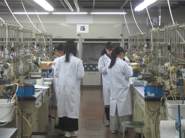 実験に取り組む参加者たち