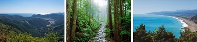 熊野古道伊勢路イメージ画像