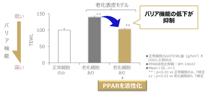図3 PPARの活性化により肌のバリア機能低下が抑制される