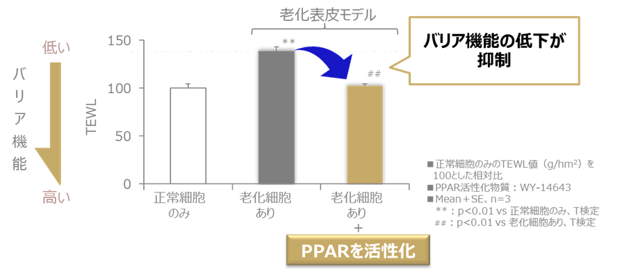 図3 PPARの活性化により肌のバリア機能低下が抑制される