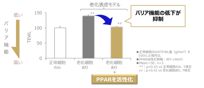 図3 PPARの活性化により肌のバリア機能低下が抑制される