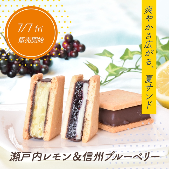 GAKUチョコレートサンド 瀬戸内レモン・信州ブルーベリー