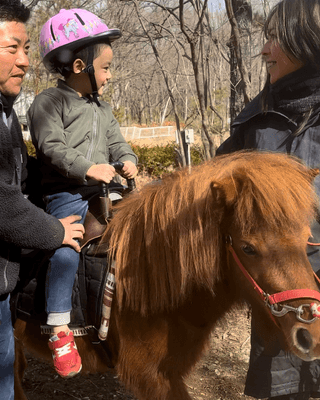 お子様もポニーに乗馬出来ます