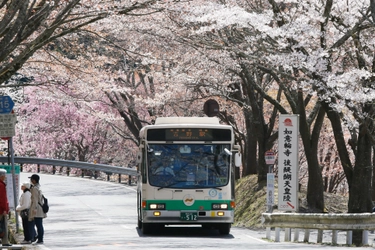 【奈良交通】春の臨時バス運行について