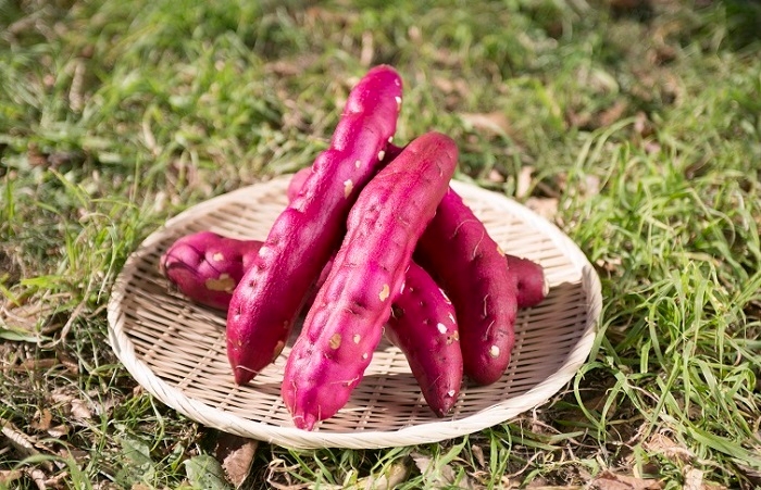 伊達娘さつまいも蔵出し金時