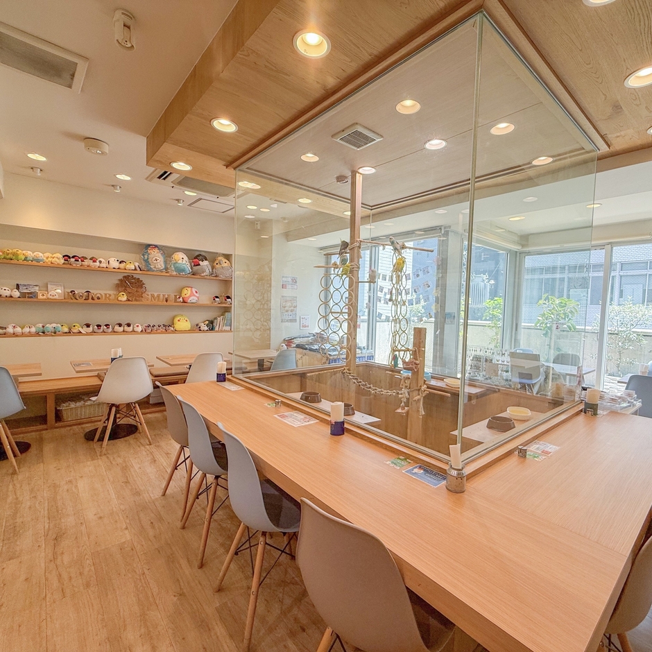 「ことりすまいる」カフェ店内写真 ※時期によりイメージが異なります。