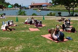 ドッグヨガ 昨年度開催時の様子