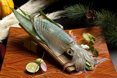 博多 どげん海2