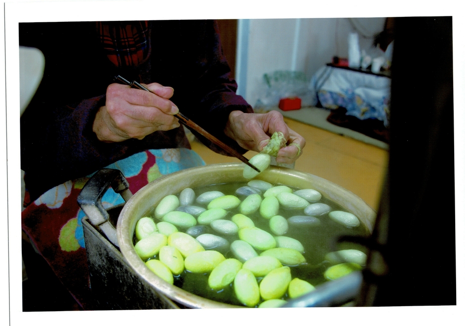 天蚕の生糸をとる様子