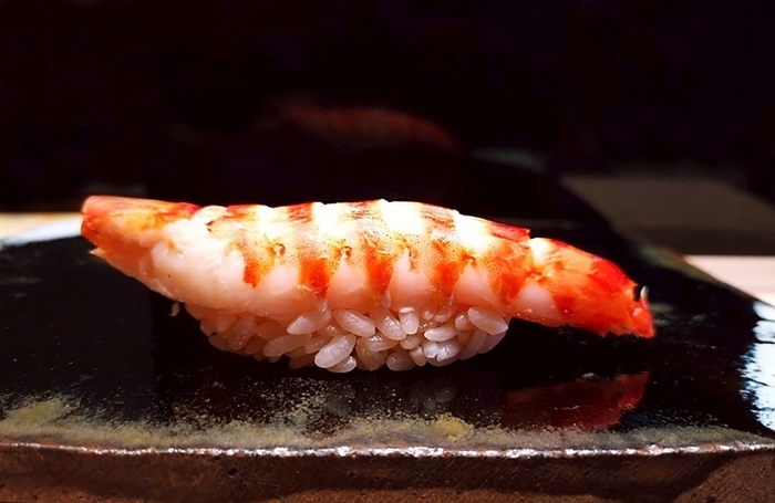 烏賊