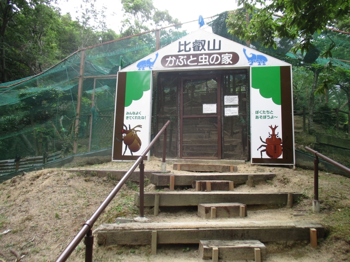 かぶと虫の家入口