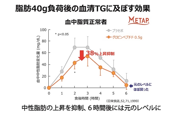 『メタップ(グロビンペプチド)の作用(ヒト試験)』