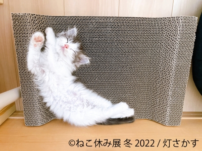 展示作品7