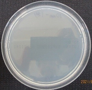 1秒照射 距離1cm・8W