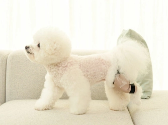 韓国発・犬体工学サポーター『Fitdog(フィットドッグ)』　 楽天市場進出に続き、日本の有力バイヤーから問い合わせが相次ぐ！ B2B市場への本格参入を開始