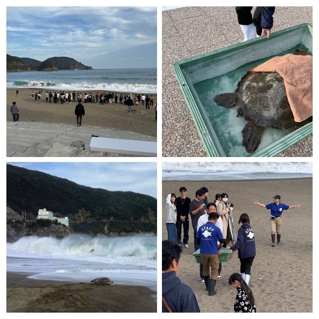 うみがめ放流会