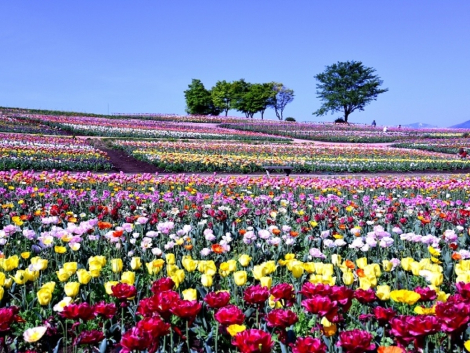 那須フラワーワールド