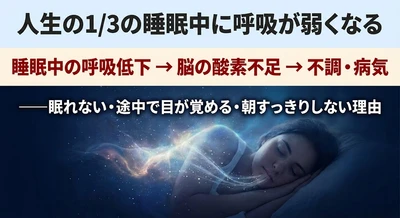 医学が見落としてきた"不眠症の原因"睡眠呼吸の視点でまとめる━━人生の1/3の睡眠中に呼吸が弱くなる─シリーズ第5回　