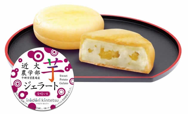 近大農学部平群実習農場産 芋ジェラート(金時いも)