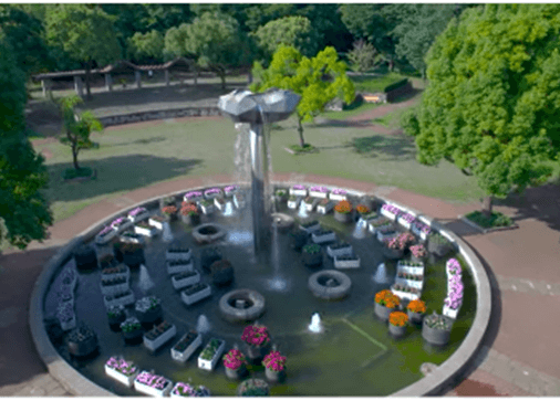 モニュメント噴水水中花壇（昨年の様子）