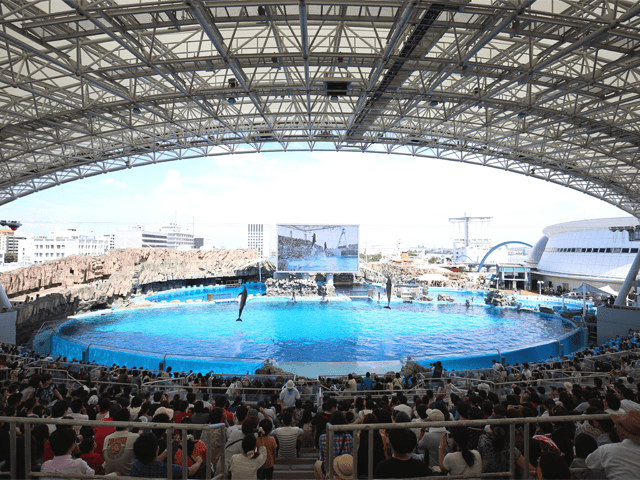 名古屋港水族館 日本最大メインプール