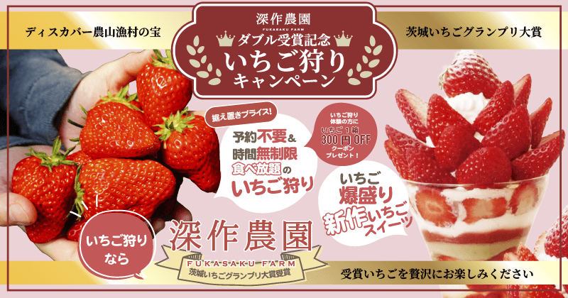 深作農園ダブル受賞記念いちご狩りキャンペーン