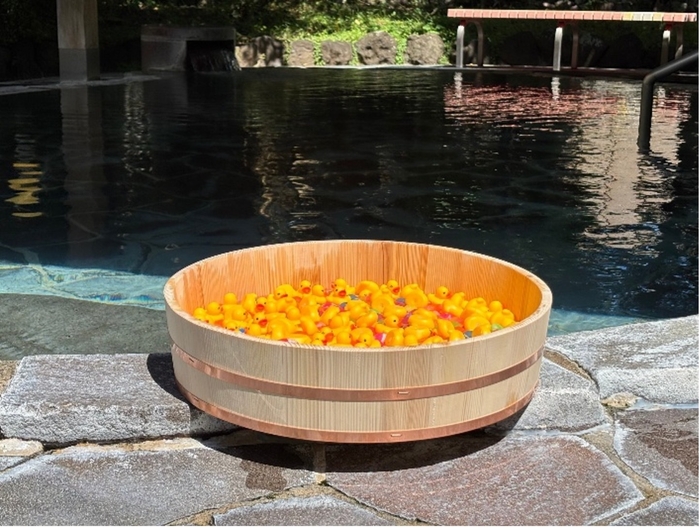 卵をお得にゲット！アヒル救出大作戦！！