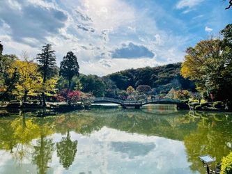 “町田の秋”の風物詩　 東京都町田市・薬師池「紅葉まつり」を11月末まで開催 　11月28日(日)まで紅葉ライトアップを実施