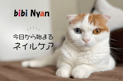 猫ちゃんが自分でできるネイルケア!!