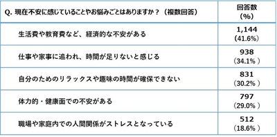 現在の不安(内訳)