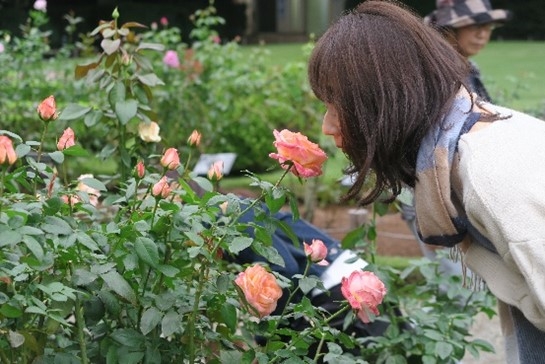 過去の「バラの香りのツアー」の様子