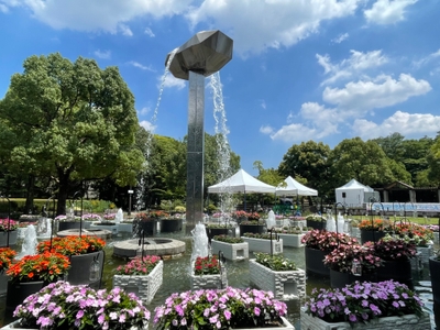 府中の森公園 サンパチェンス水中花壇(昨年の様子)