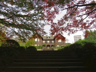 ついに紅葉最盛期！旧古河庭園「紅葉とバラ、和と洋の秋」11月12日（土）～12月4日（日）開催中！