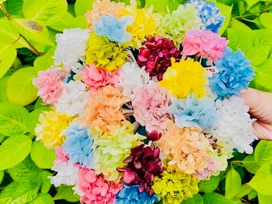 花手水おみくじ