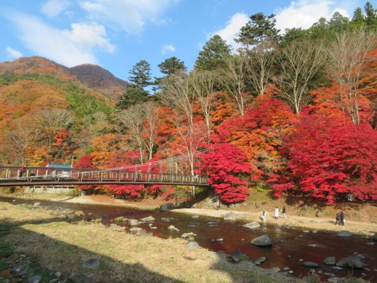 ［写真：紅の吊橋の紅葉］