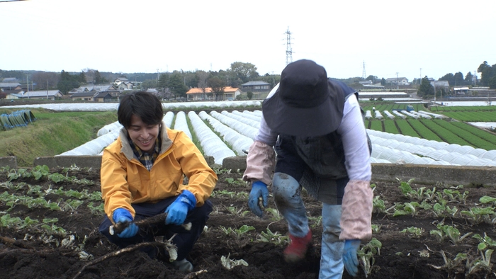 旅チャンネル４Ｋシリーズ『日本四季菜彩』 ／TM & (c)2016 Turner Japan