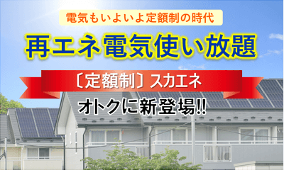 再エネ電気使い放題「スカエネ」