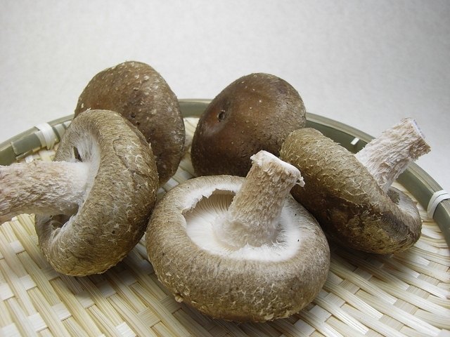 1日の目安量の肉とともに、食物繊維まで豚汁1品でしっかり摂ることができます。