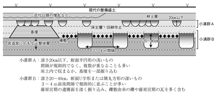 図１　藤原宮跡内で検出されるミゾミゾ模式図（道上祥武2023「「藤原宮」後」『文化財論叢Ⅴ』奈文研）