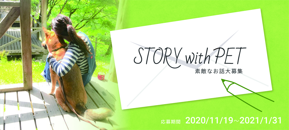 大募集!「ペットへの想い」 1投稿につきアニドネが500円を寄付『STORY with PET』 ~1月末まで
