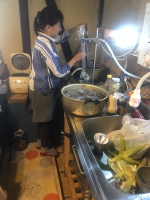 野菜染め_1