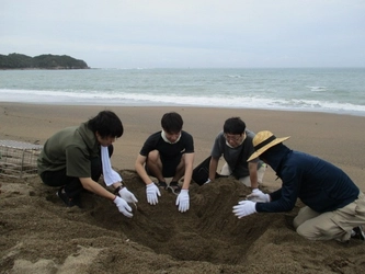 ライオンの生物多様性保全活動への取り組み　 和歌山県みなべ町で、10年目を迎える 「アカウミガメ」の保護活動を実施