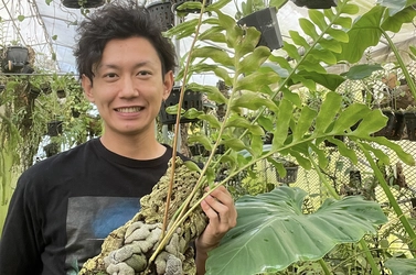 世界唯一のアリ植物農場を作りたい！ アリ植物農家がクラウドファンディングを実施中