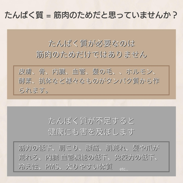 美容系/Bプロテイン
