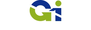 Global Info Research