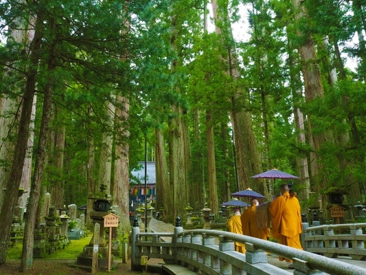 今年は運行期間を拡大！ 「春」・「夏」・「秋」の運行でますます便利になります！ 「京都～直通～高野山」 高速バス 2021年4月23日～11月28日 運行