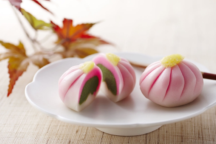 11月7日(水)限定 お抹茶の菊上生菓子